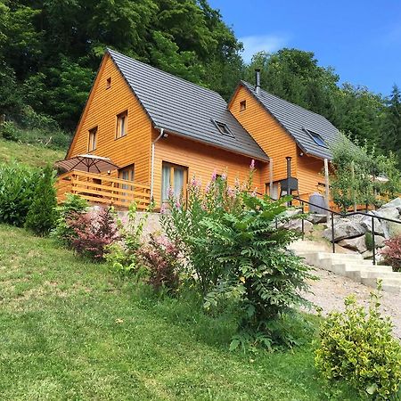 Le Chalet La Cigogne Et Le Chamois マンステール エクステリア 写真