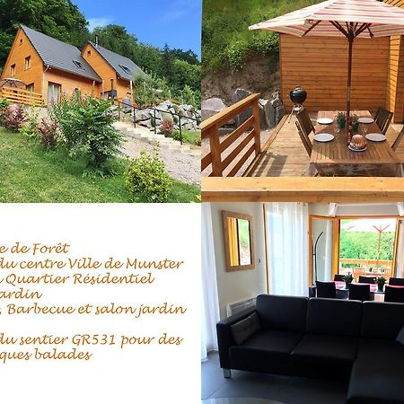 Le Chalet La Cigogne Et Le Chamois マンステール エクステリア 写真