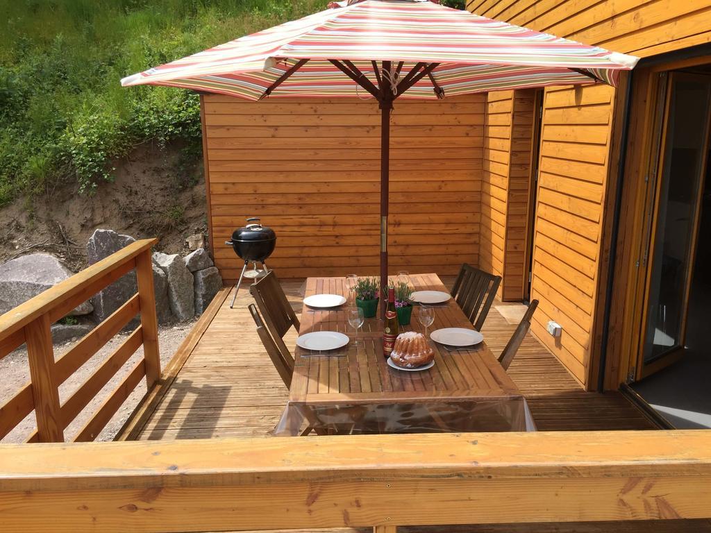Le Chalet La Cigogne Et Le Chamois マンステール エクステリア 写真
