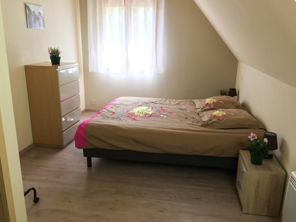 Le Chalet La Cigogne Et Le Chamois マンステール エクステリア 写真