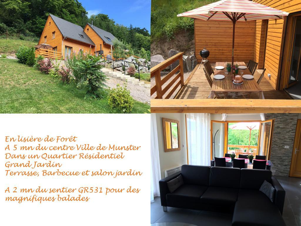 Le Chalet La Cigogne Et Le Chamois マンステール エクステリア 写真